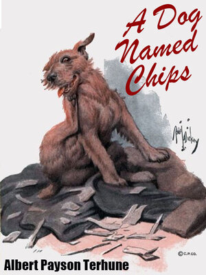 cover image of A Dog Named Chips